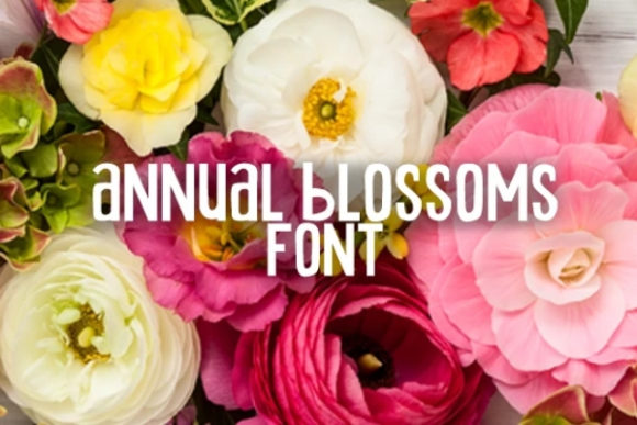 Annual Blossom: A Versatile Display Font for Your Brand