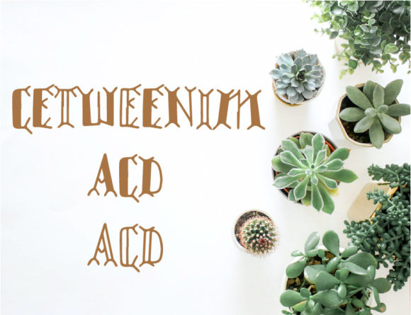 Bringing Creativity to Life with Cetweenim Font