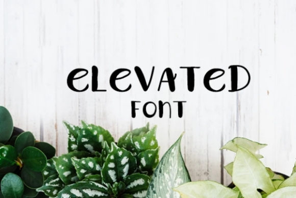 Elevated Font for Bold Digital Branding