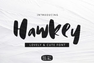 Enhance Your Brand with the Hawkey Font