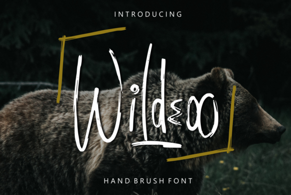 How Wildeoo Transformed My Brand’s Visual Identity