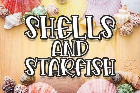 Shells and Starfish Font for Branding and Design